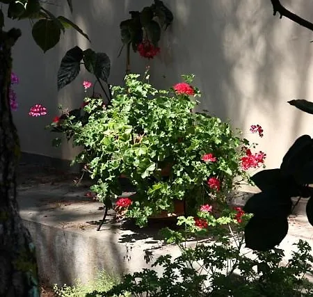 Βίλα Vivere Μωραΐτικα
